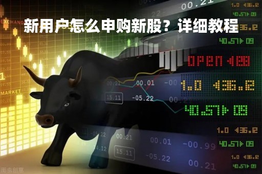 新用户怎么申购新股？详细教程