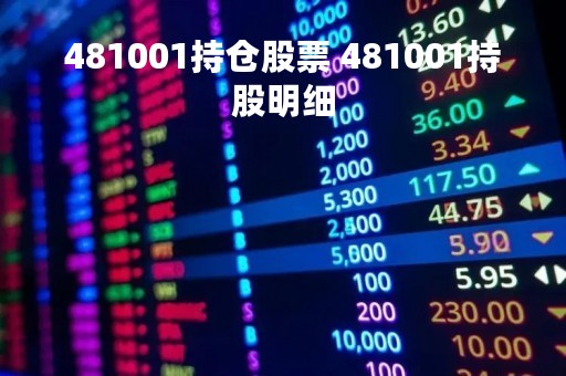 481001持仓股票 481001持股明细