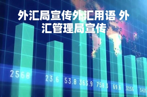 外汇局宣传外汇用语 外汇管理局宣传