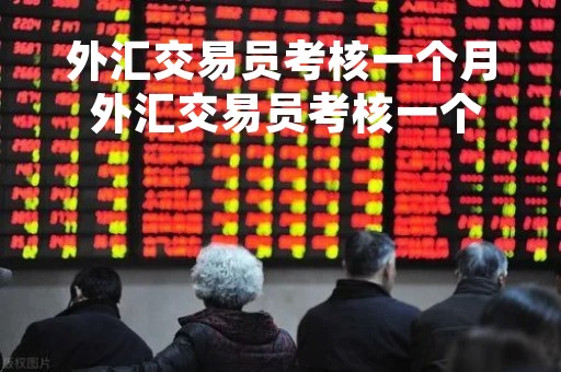 外汇交易员考核一个月 外汇交易员考核一个月多少钱