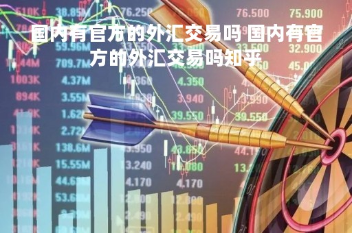 国内有官方的外汇交易吗 国内有官方的外汇交易吗知乎