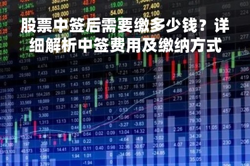 股票中签后需要缴多少钱？详细解析中签费用及缴纳方式