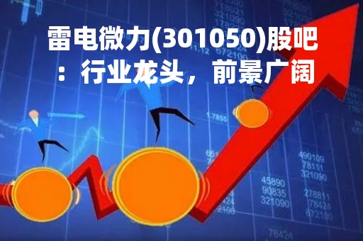 雷电微力(301050)股吧：行业龙头，前景广阔