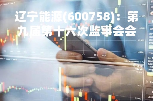 辽宁能源(600758)：第九届第十六次监事会会议决议，22项议案获通过