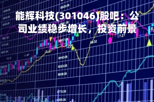 能辉科技(301046)股吧：公司业绩稳步增长，投资前景广阔