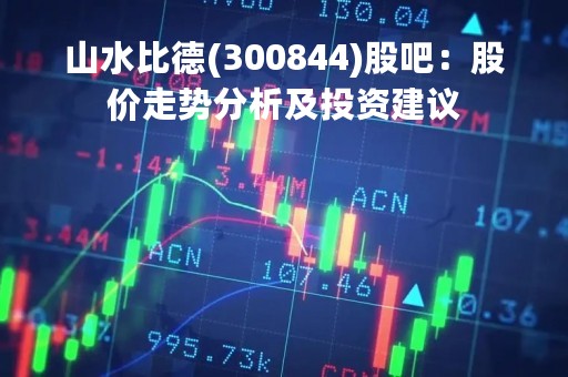 山水比德(300844)股吧：股价走势分析及投资建议