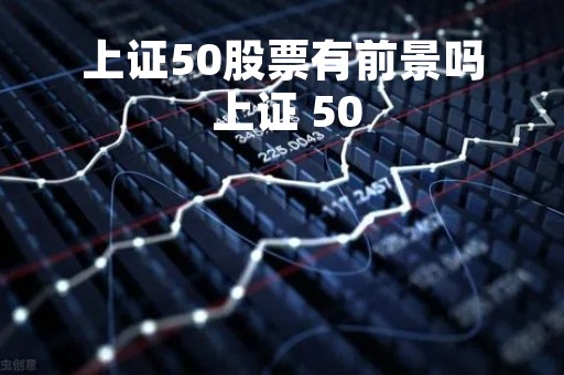 上证50股票有前景吗 上证 50