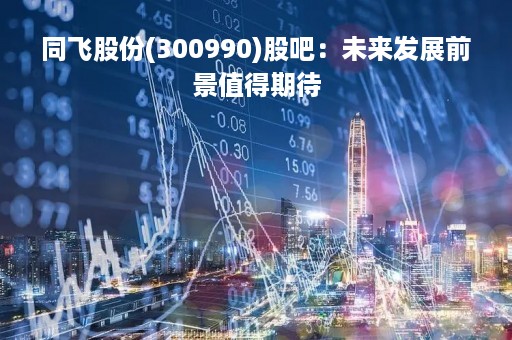 同飞股份(300990)股吧:未来发展前景值得期待 同飞股份(300990)股吧:未来发展前景值得期待