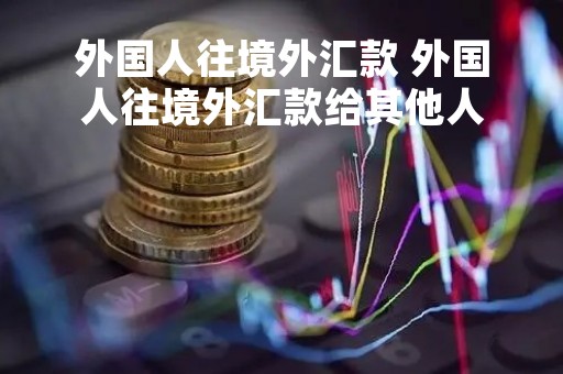 外国人往境外汇款 外国人往境外汇款给其他人
