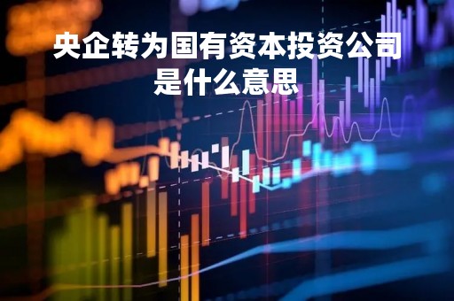 央企转为国有资本投资公司是什么意思