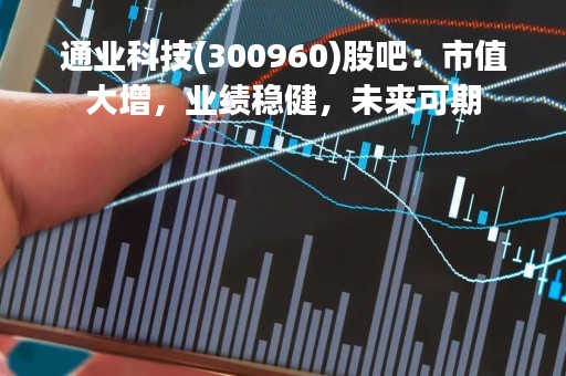 通业科技(300960)股吧：市值大增，业绩稳健，未来可期
