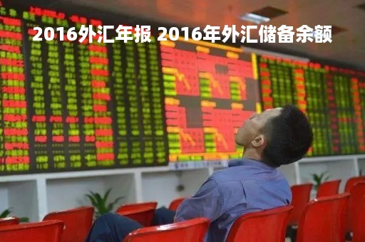 2016外汇年报 2016年外汇储备余额