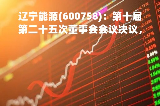 辽宁能源(600758)：第十届第二十五次董事会会议决议，审议25项议案获通过