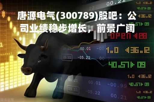 唐源电气(300789)股吧:公司业绩稳步增长,前景广阔 唐源电气(300789)股吧:公司业绩稳步增长,前景广阔