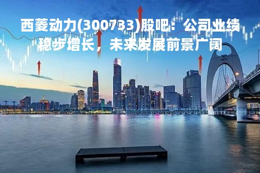 西菱动力(300733)股吧：公司业绩稳步增长，未来发展前景广阔