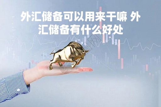 外汇储备可以用来干嘛 外汇储备有什么好处