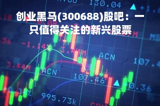 创业黑马(300688)股吧：一只值得关注的新兴股票