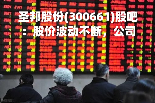 圣邦股份(300661)股吧：股价波动不断，公司实力备受关注