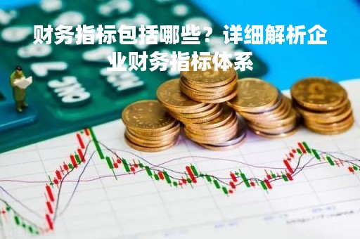 财务指标包括哪些？详细解析企业财务指标体系
