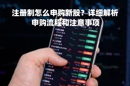 注册制怎么申购新股？详细解析申购流程和注意事项