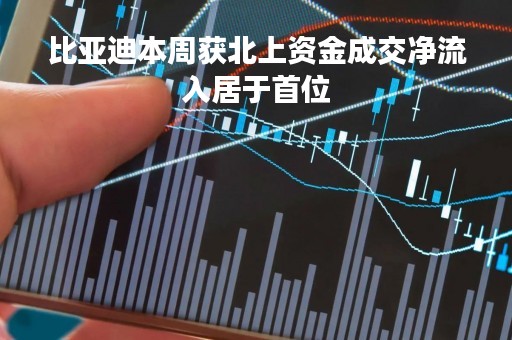 比亚迪本周获北上资金成交净流入居于首位