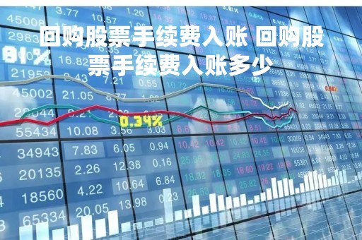 回购股票手续费入账 回购股票手续费入账多少