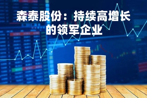 森泰股份：持续高增长的领军企业
