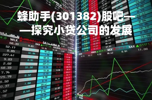 蜂助手(301382)股吧——探究小贷公司的发展前景
