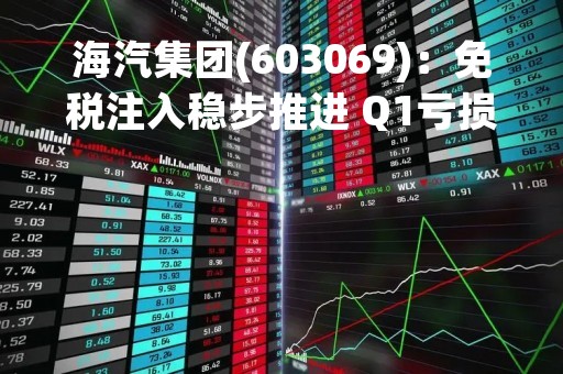 海汽集团(603069)：免税注入稳步推进 Q1亏损大幅收窄