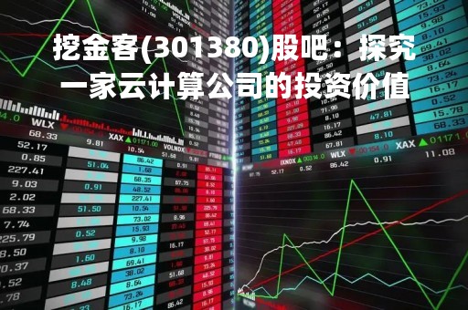 挖金客(301380)股吧：探究一家云计算公司的投资价值