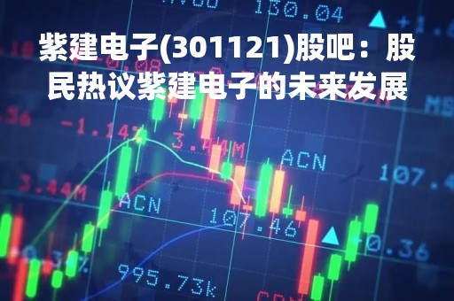 紫建电子(301121)股吧：股民热议紫建电子的未来发展趋势