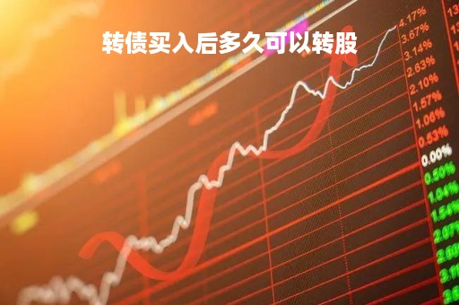 转债买入后多久可以转股