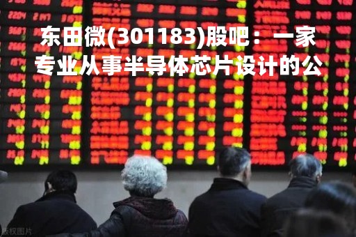 东田微(301183)股吧：一家专业从事半导体芯片设计的公司