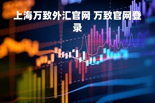 上海万致外汇官网 万致官网登录