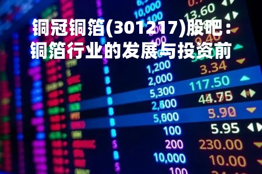铜冠铜箔(301217)股吧：铜箔行业的发展与投资前景