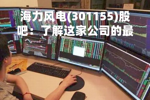 海力风电(301155)股吧：了解这家公司的最新动态和未来前景