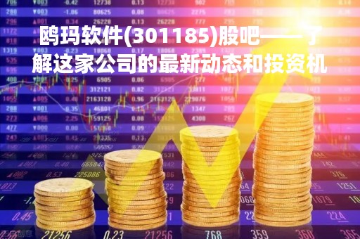 鸥玛软件(301185)股吧——了解这家公司的最新动态和投资机会