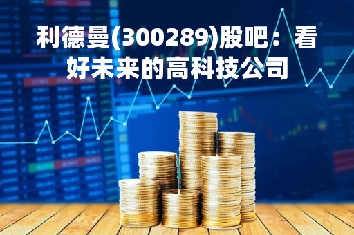 利德曼(300289)股吧：看好未来的高科技公司