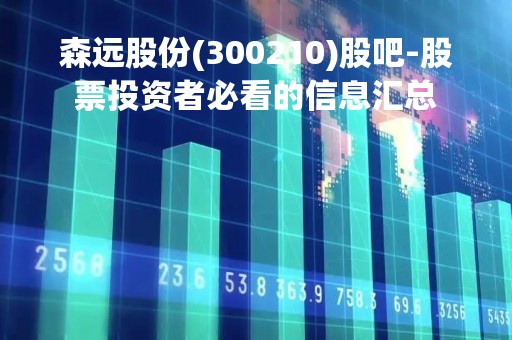 森远股份(300210)股吧-股票投资者必看的信息汇总