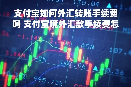 支付宝如何外汇转账手续费吗 支付宝境外汇款手续费怎么收