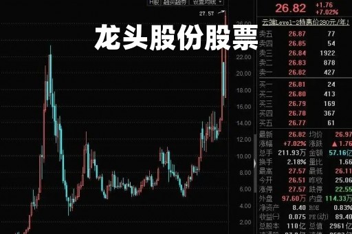 龙头股份股票