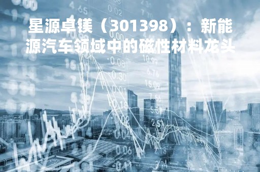 星源卓镁（301398）：新能源汽车领域中的磁性材料龙头企业