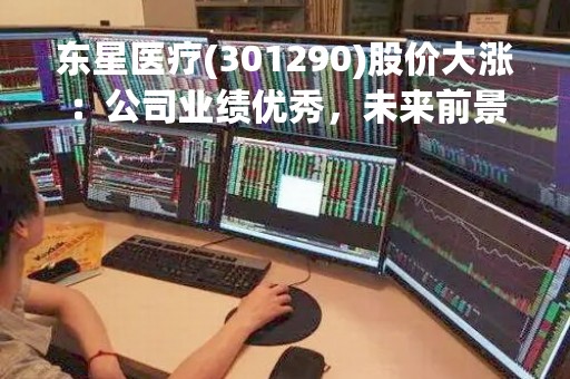 东星医疗(301290)股价大涨：公司业绩优秀，未来前景广阔