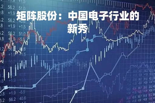 矩阵股份：中国电子行业的新秀