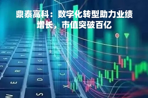 鼎泰高科：数字化转型助力业绩增长，市值突破百亿