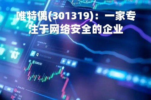 唯特偶(301319)：一家专注于网络安全的企业