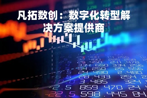 凡拓数创：数字化转型解决方案提供商