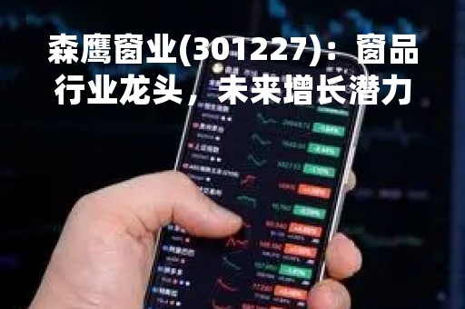 森鹰窗业(301227)：窗品行业龙头，未来增长潜力巨大
