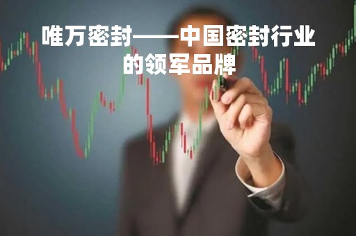 唯万密封——中国密封行业的领军品牌 唯万密封——中国密封行业的领军品牌