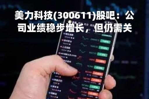 美力科技(300611)股吧：公司业绩稳步增长，但仍需关注行业风险